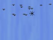 Spider In The Rain