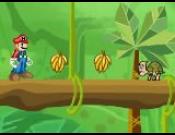 Mario Jungle Adventure