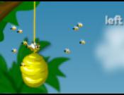 Bee Boxing