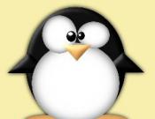 Crazy Penguin Catapult