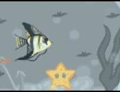 Aquarium Maker