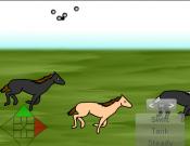 Enjoyable Horse Racing