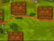 Fruits Inc.