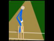 Stick Cricket