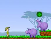 Hippo's Feeder