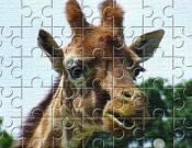 Giraffe Jigsaw