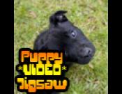 Puppy VIDEO Jigsaw