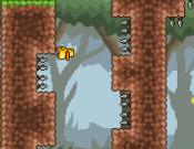 Gravity Duck