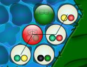 Bacteroid