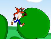 Crash Bandicoot