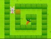 Short Legs Want Rabbit