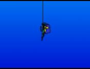 Treasure Diver
