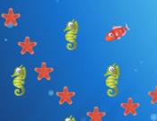Star Fish