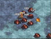 Arcuz 2