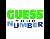 Guess Your Number