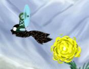 Fly Squirrel Fly