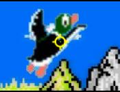 Duck Warrior