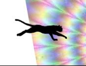 Cat Runner