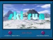 Ski Run
