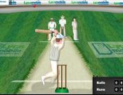 Hit For Six Cricket