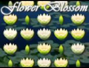 Flower Blossom
