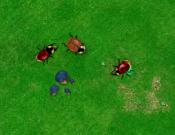 Beetle Wars