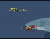Mad Shark