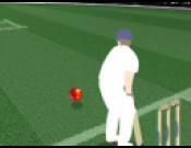Cricket Challenge