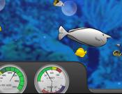 Ocean Explorer