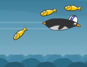 Jetstream Penguin