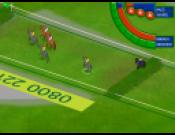 Stay the Distance - Horse Racing