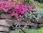 Flower Garden