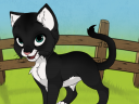 Kitten Maker