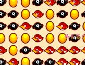 Rotating Birds