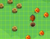 Beetle Run
