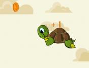 Turtle Dreams to Fly