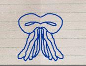 Symmetrical Drawings