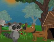 Raccoon's Adventure