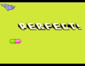 Dolphin Dash