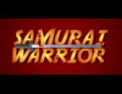Samurai Warrior