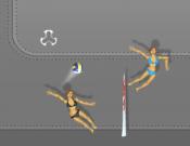 Ragdoll Volleyball