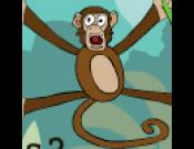 Jungle Spider Monkey