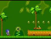 Sonic Xtreme