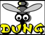 Dung
