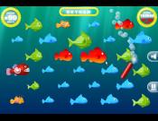 Feed the Fish