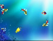 Queen Fish