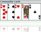 Texas Hold'em Multiplayer Poker