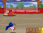 The Goal Shooting