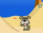 Cat vs Dog at the Beach