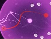 Axon